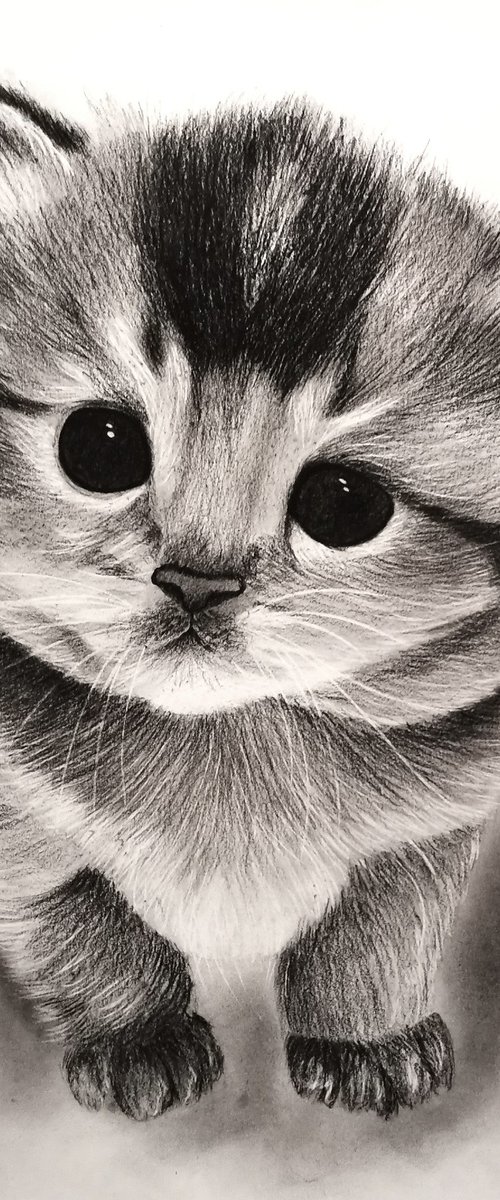 cat by Mariam Darchiashvili