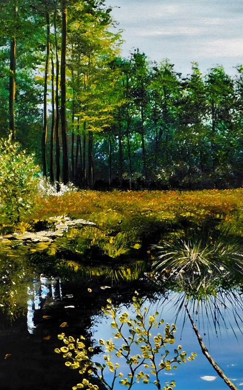Late Afternoon On Delamere Moss by Hazel Thomson