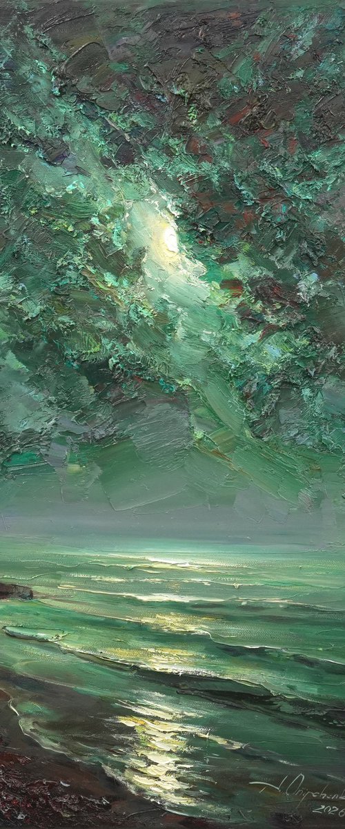 Through the Moonlight by Alisa Onipchenko-Cherniakovska