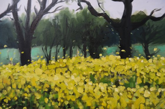 A walk through yellow fields