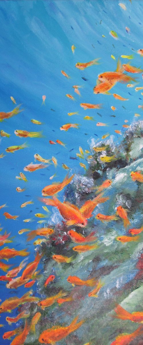 Fishes at a Sea Reef by MARJANSART