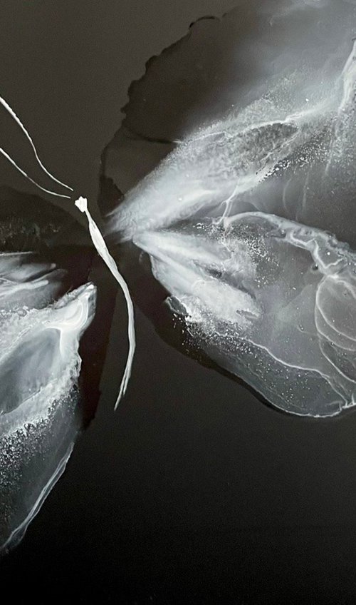 WHITE BUTTERFLY by Svetlana Martin