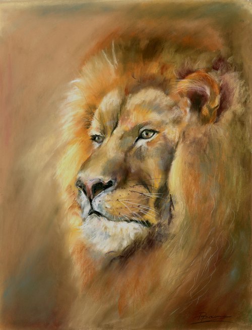 Lion Portrait - Original Pastel Drawing by Olga Shefranov (Tchefranov)