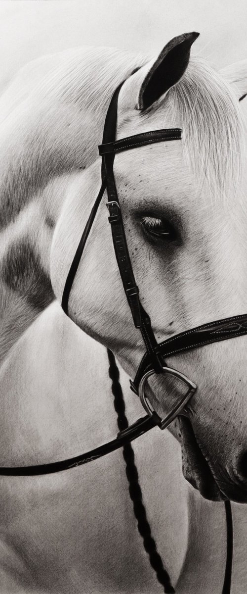 White Horse #4 by Mariam Darchiashvili