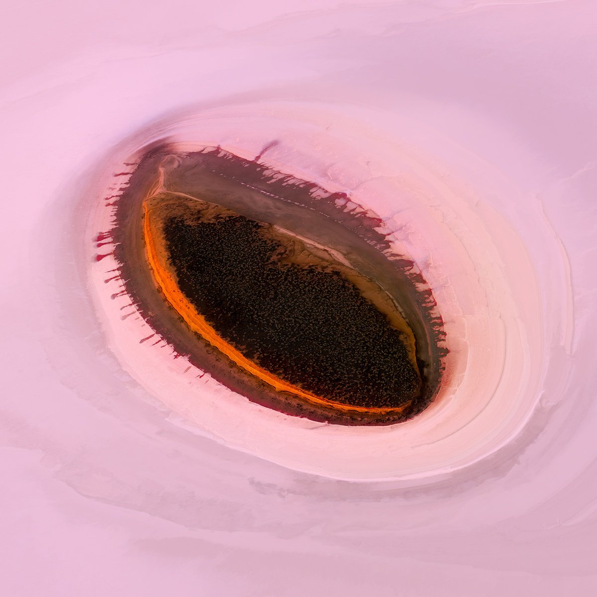 Photorealistic Abstract Photograph By Nick Psomiadis, 35 X 35", Salt Eye, Original Artwork