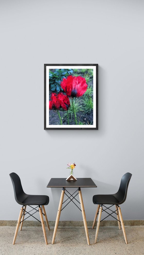 Bright Red Poppies