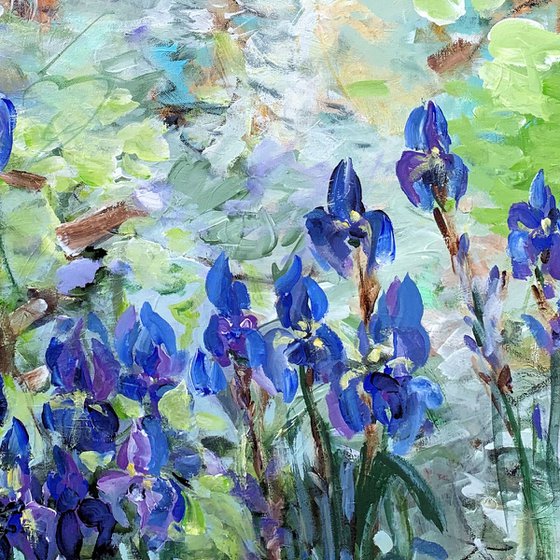 Blue irises at the pond