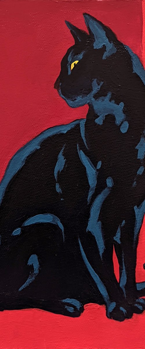Black Cat by Movses Petrosyan