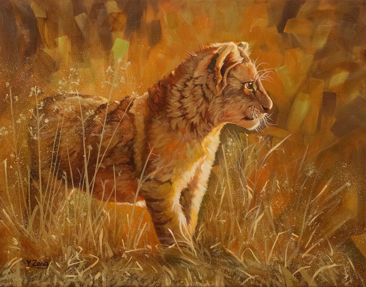 Lion cub by Yue Zeng