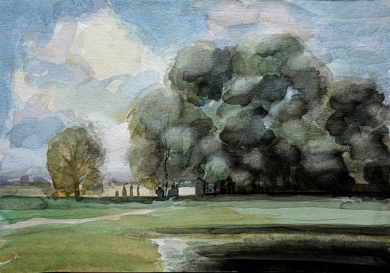 Dark Summer Trees