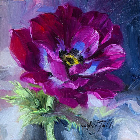 Purple anemone