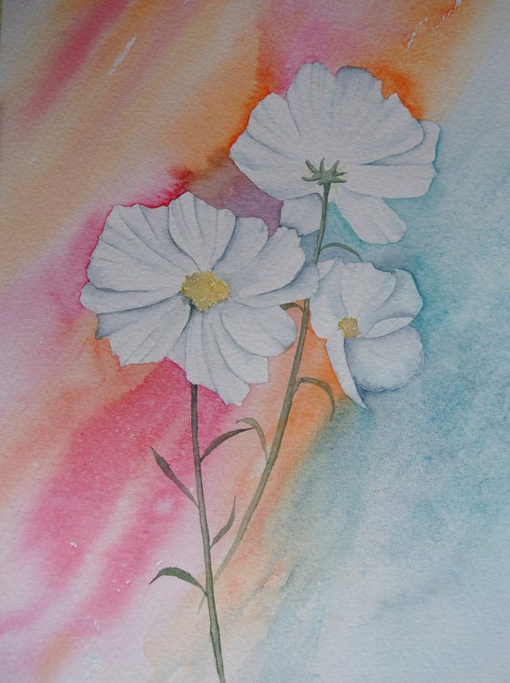 Cosmos - Original Watercolour