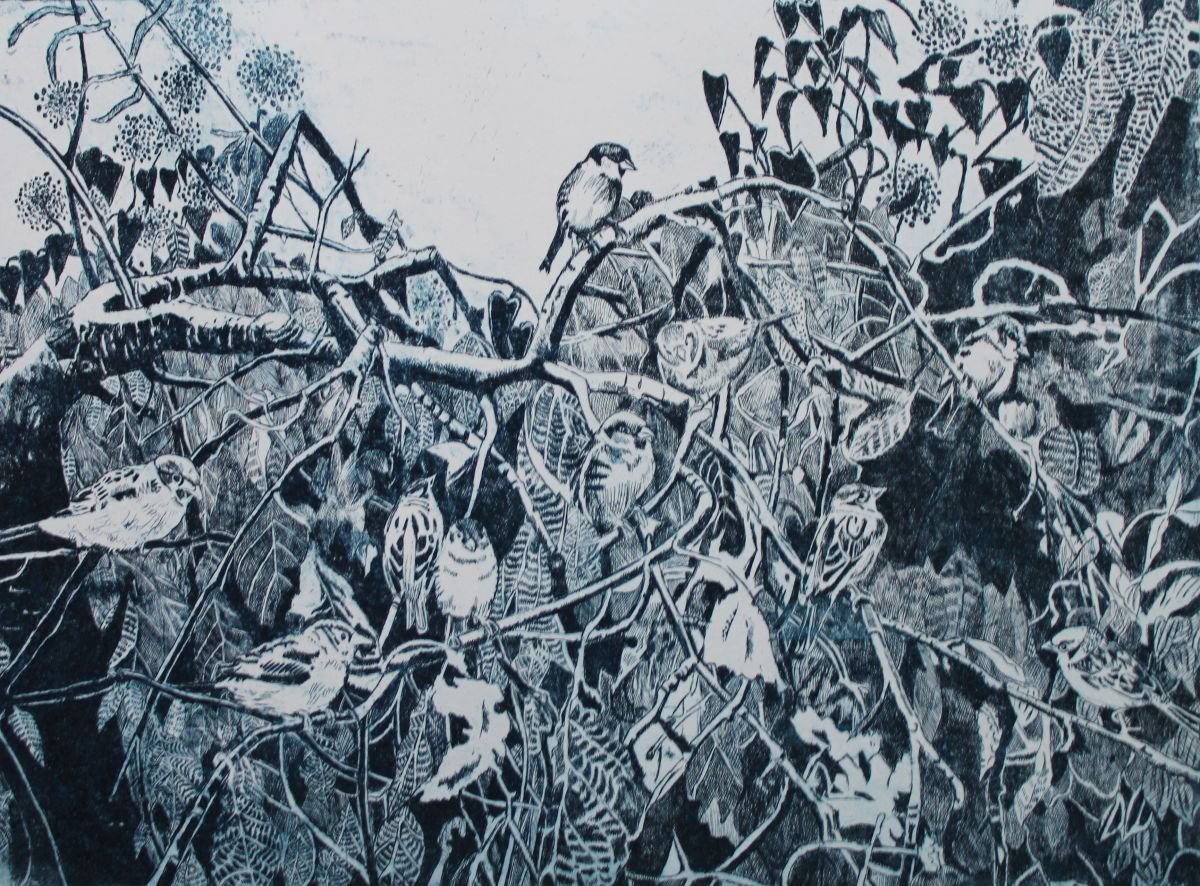 Photorealistic Etchings & Engravings , The Ubiquity Of Sparrows By Janis Goodman, 24 X 18, Artwork For Sale On Artfinder
