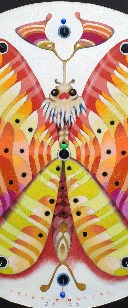 The clock butterfly by Federico Cortese