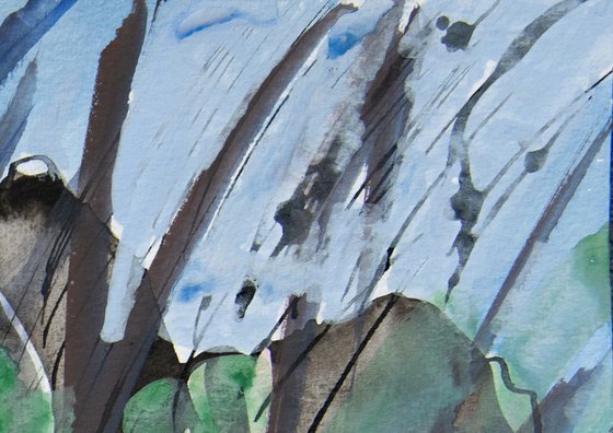 Mountain Pines