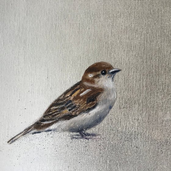 Little Sparrow ~ on silver