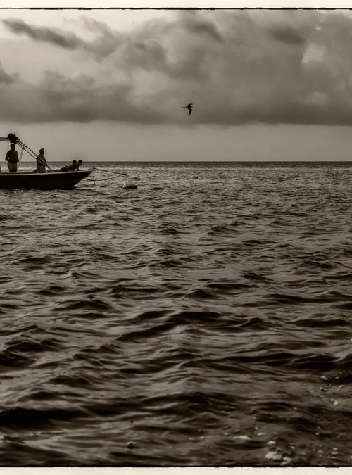 let's follow the bird by Daniel Fontaine