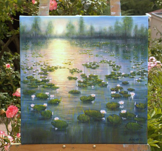 Lilies pond