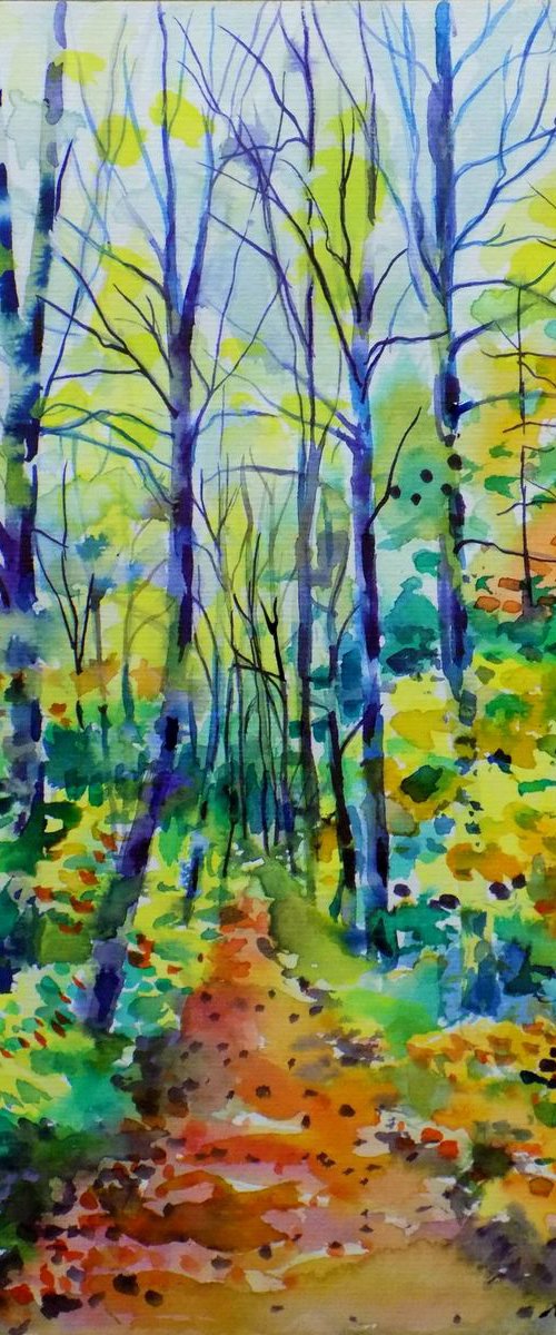 Forest path IV by Maja Grecic