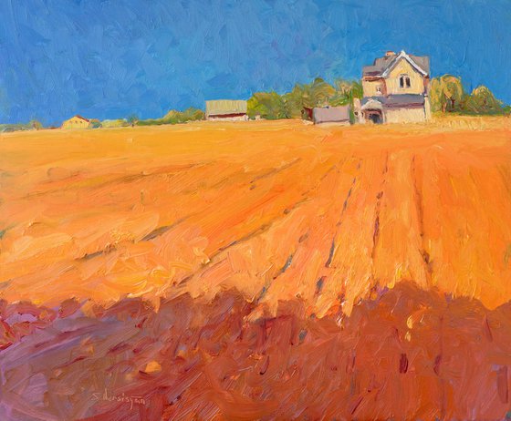Farmland in Midwest, Evening