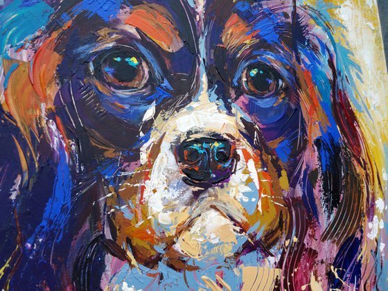 Cavalier King Charles Spaniel portrait