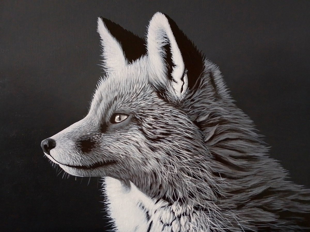 Fox by Barry Gray