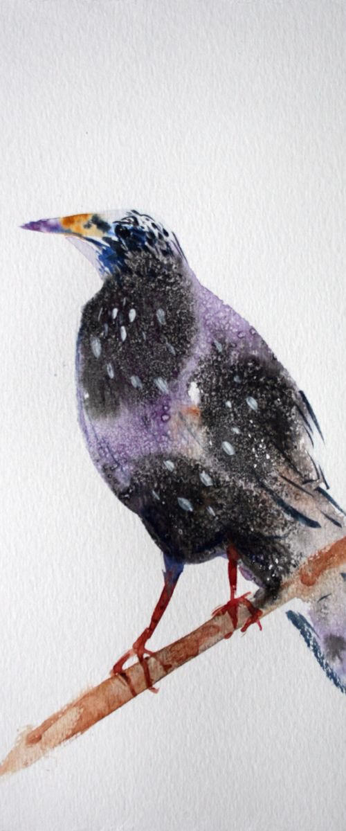 Bird 01  / Original Painting by Salana Art Gallery