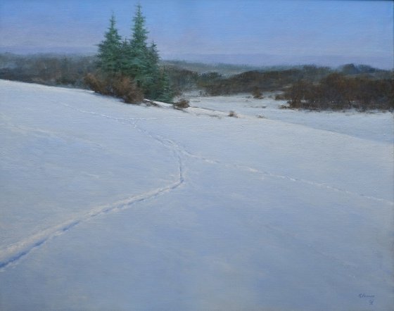 Snowlandscape
