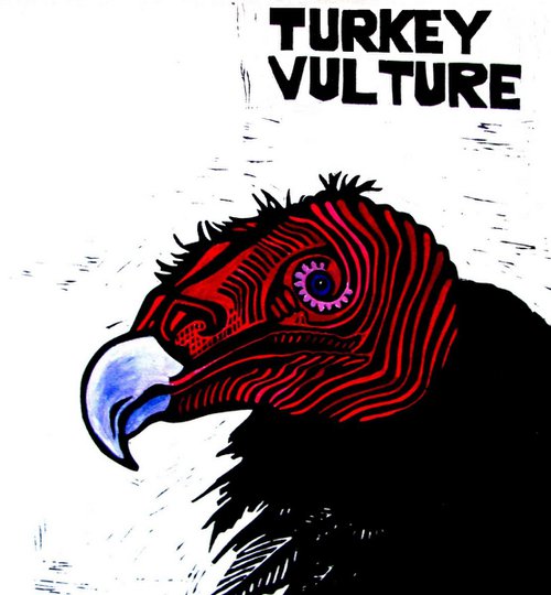 TURKEY VULTURE by Laurel Macdonald