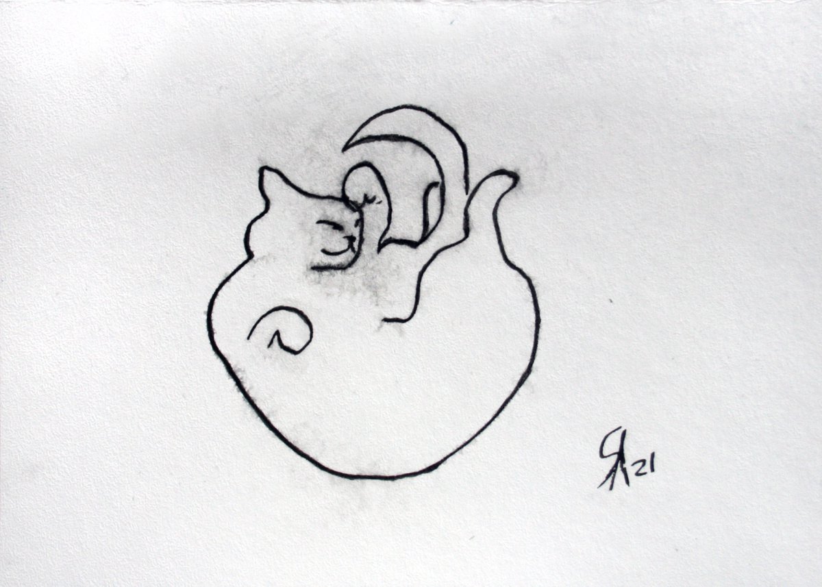 Animal Ink Drawing By Salana Art / Svetlana Samovarova, 7 X 5", Cat Portrait Vi, Original Artwork