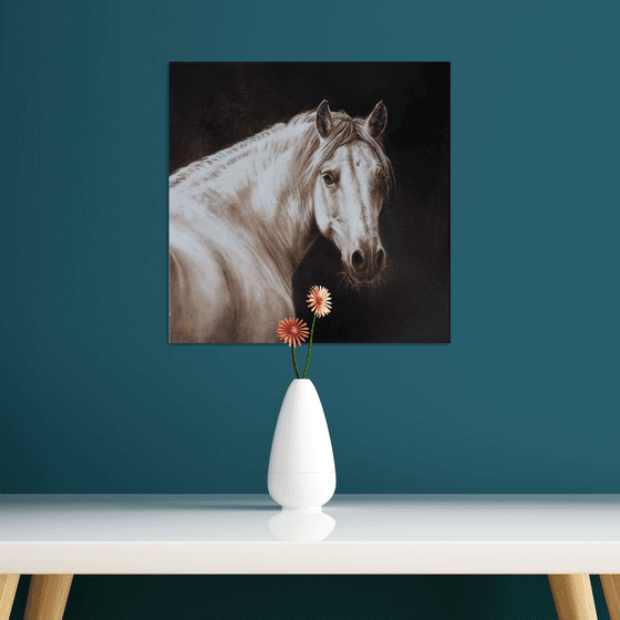Horse portrait in monochrome