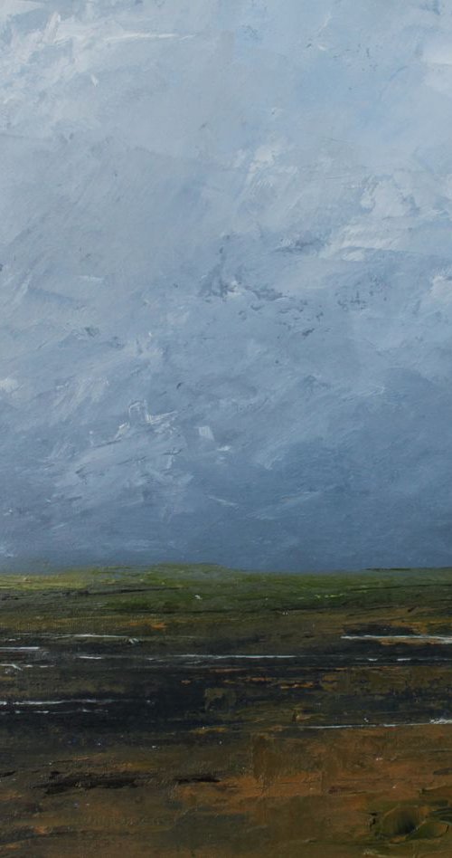 Wetlands by John Halliday