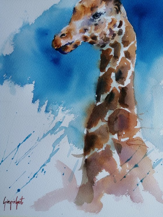 giraffes 8