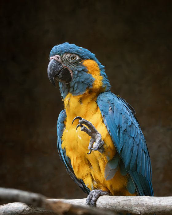Strike a pose