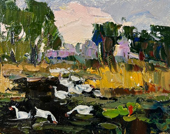 Geese in the lake