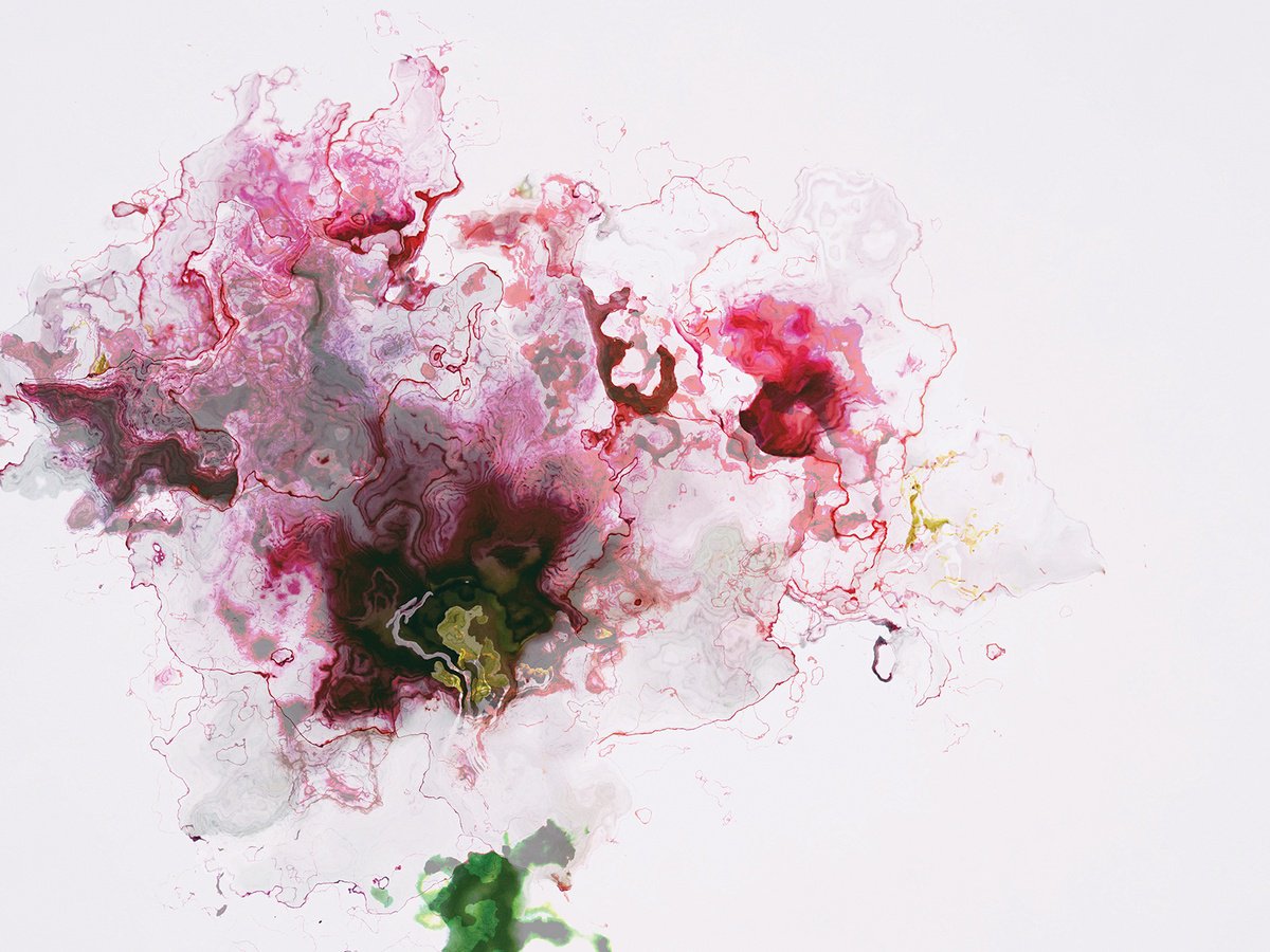 Abstract Botanical Print By Javier Diaz, 80 X 60, Flores Al Viento 4, Original Artwork