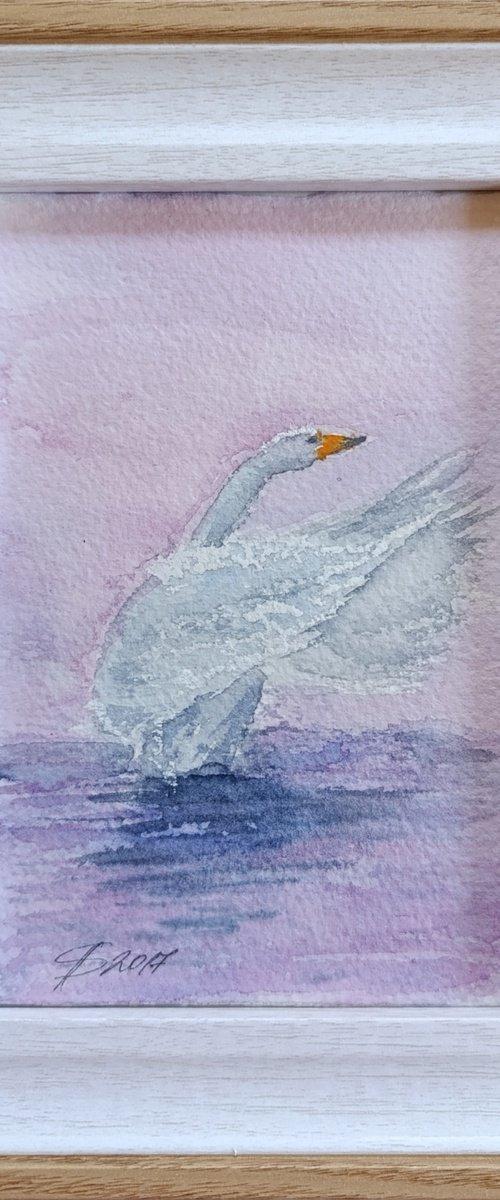 Swan by Salana Art / Svetlana Samovarova