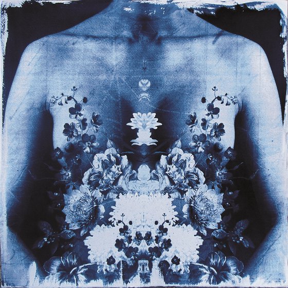 Cyanotype 02 Perfect symmetry
