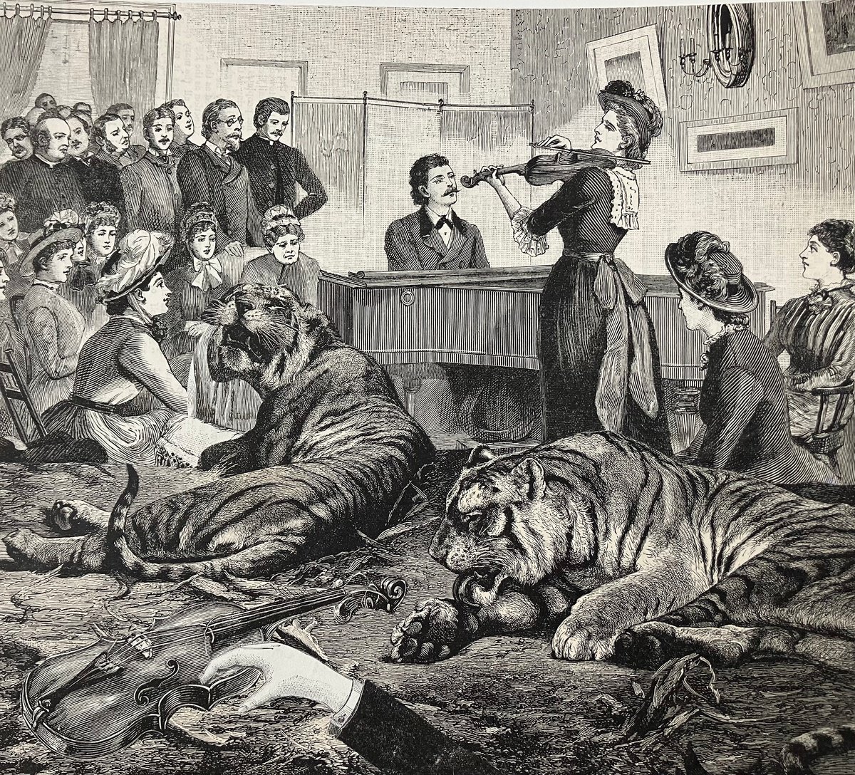 Surrealistic Collage , Tigers At The Concert By Tudor Evans, 9 X 8, Artwork For Sale On Artfinder