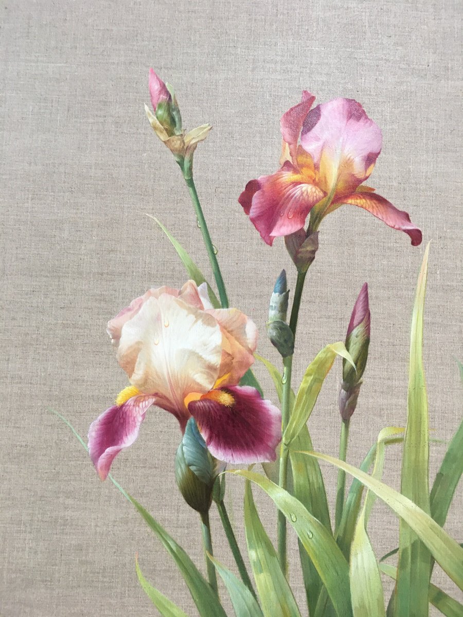 Impressionistic Botanical Painting By Kunlong Wang, 28 X 39", Still Life Oil Painting:flowers 185, Original Artwork