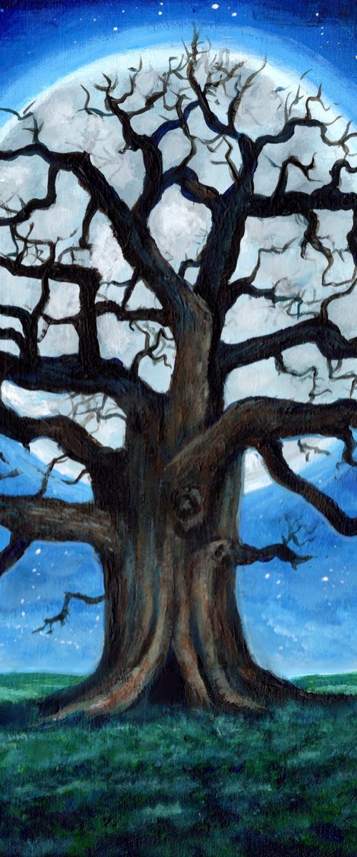 Old tree at full moon by Linzi Fay