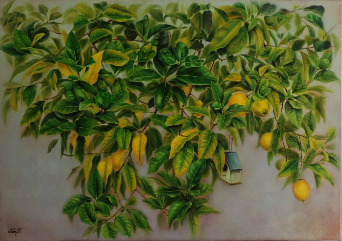 Lemon Tree by Laura Marcela Cabral