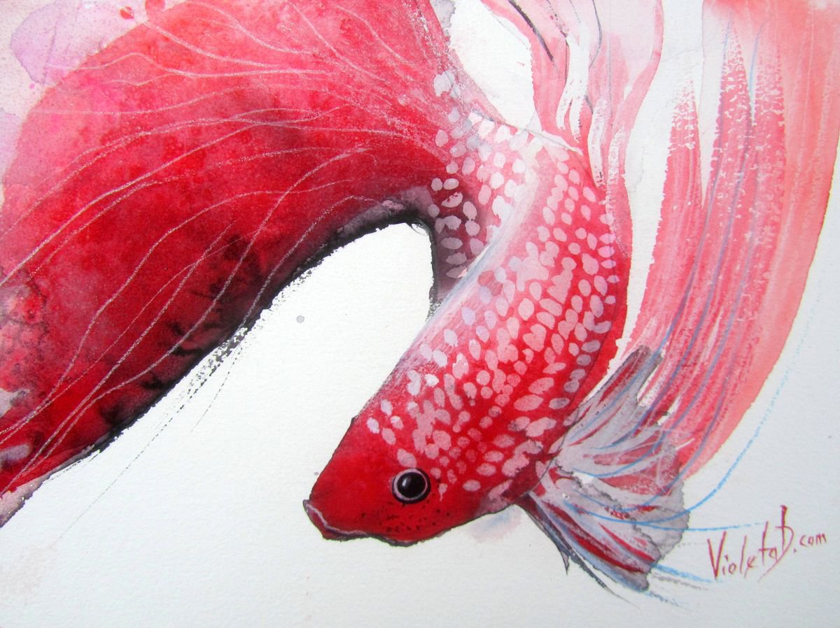 Wish for a Fish! by Violeta Damjanovic-Behrendt
