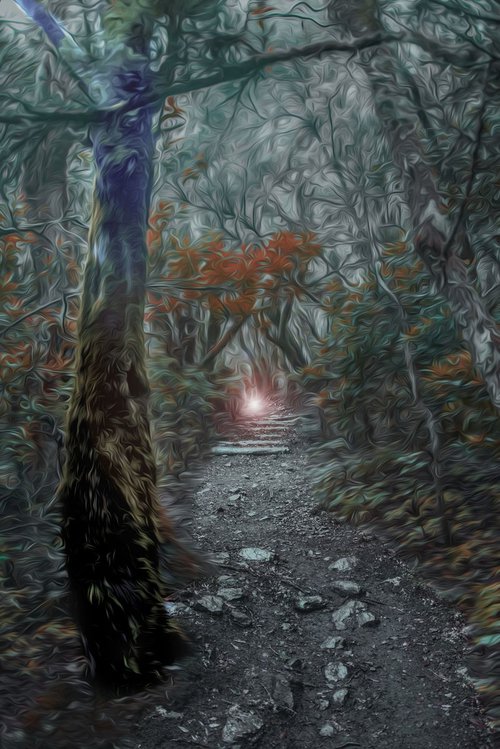 Enchanted Forest by Dr Martín Raskovsky