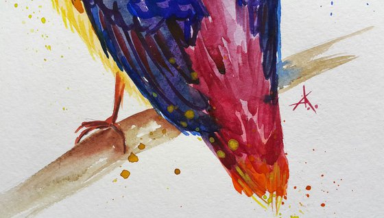 Colored bird