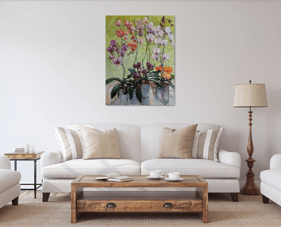 Colorful Orchids