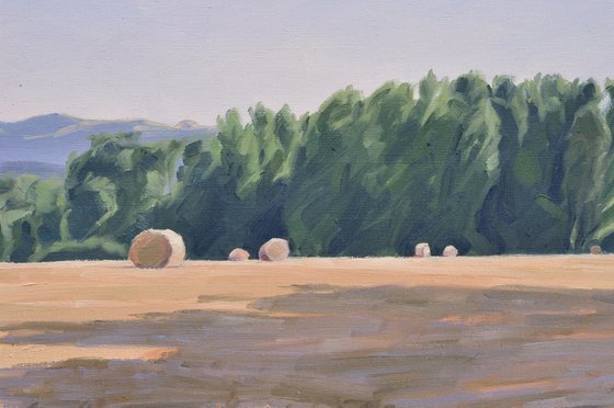 After the Harvest, Morning Light
