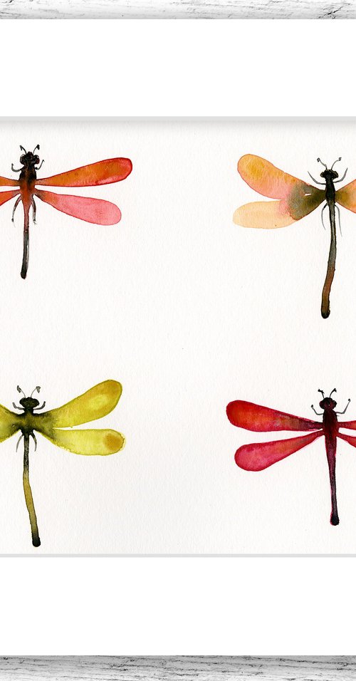 Four Dragonflies by Kathy Morton Stanion