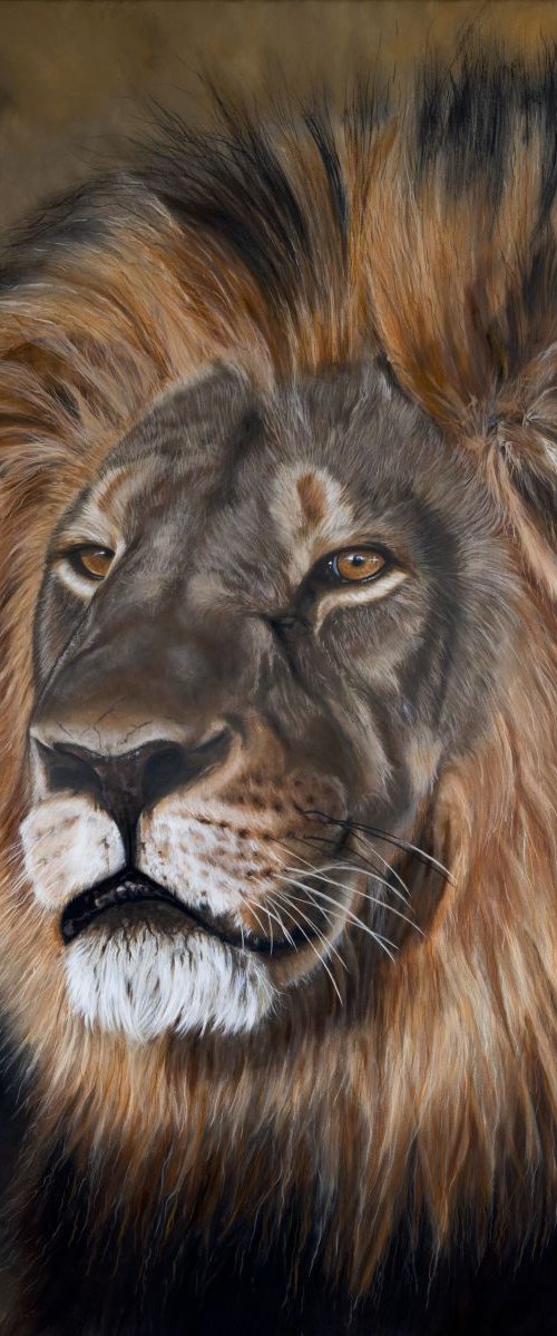 'Cecil the Lion' by Nicola Colbran