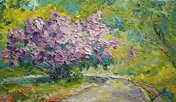 Lilac bush